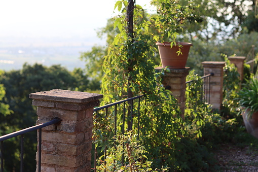 Rustic flower pot in a garden within  a small Tuscany town in Italy
