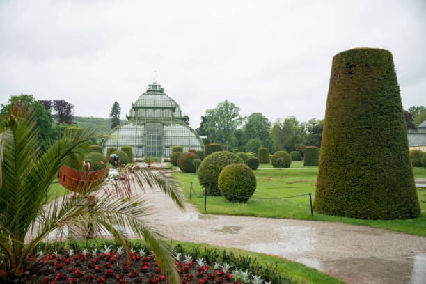 istock Botanical  garden in Vienna (inside Botanical garden) 1768491394