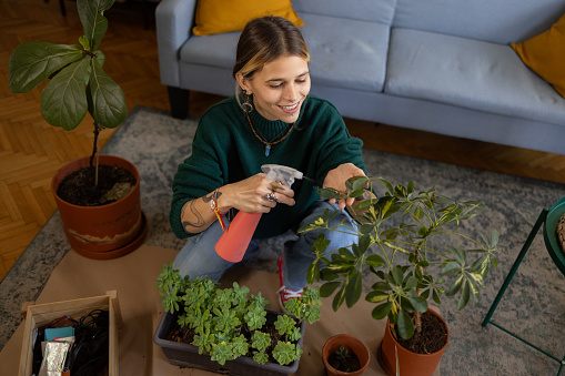 Happy woman spraying her plants during free time in the living room.