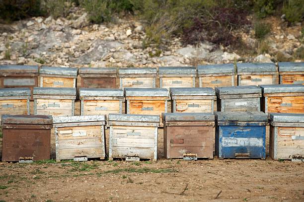 Beehives (wooden), Spain stock photo