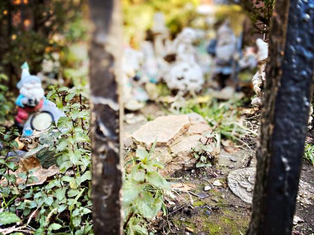 istock Gnomes in a Garden 1768498615