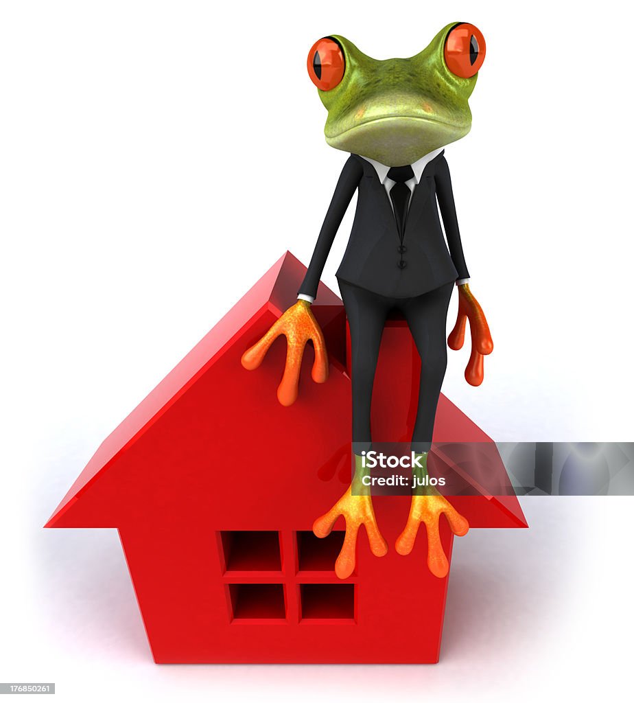 Business Frog  Amphibian Stock Photo
