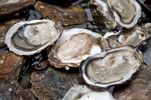 istock Fresh oysters are laid out on the ice. 176850317
