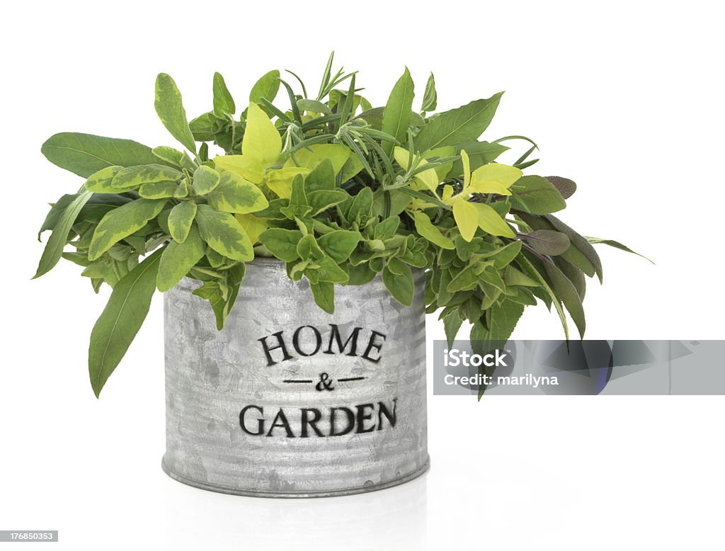 Herb Garden "Herb leaf selection of rosemary, sage varieties and oregano in an old aluminum tin pot with the words home and garden, isolated over white background." Aluminum Stock Photo