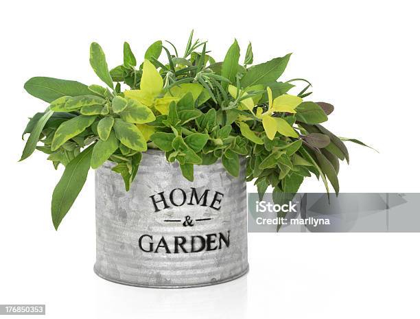 Herb Garden Stock Photo - Download Image Now - Aluminum, Cut Out, Flower Pot