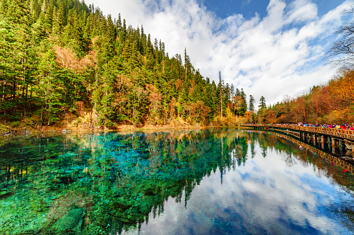 View of the Five Coloured Pool (the Colorful Pond) with azure crystal clear water among fall woods and evergreen forest in Jiuzhaigou nature reserve (Jiuzhai Valley National Park), China.