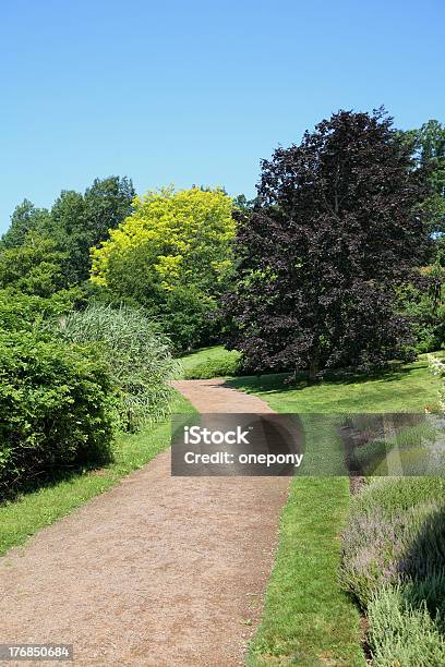 Park Path Stock Photo - Download Image Now - Bush, Color Image, Footpath