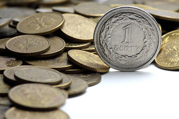 istock Polish money - PLN 176850777