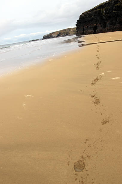istock ballybunion beach horse hoofprints 176851028