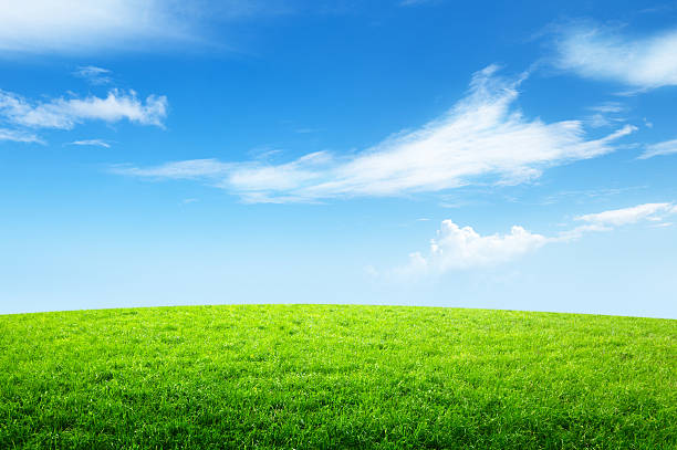 istock field of grass and perfect sky 176851393