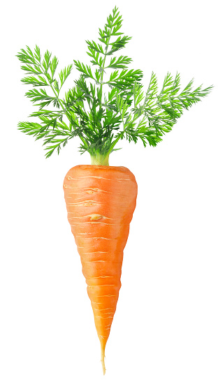 Fresh carrot with leaves isolated on white.