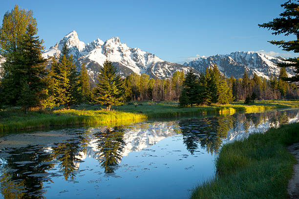 istock Grand Tetons and pond in morning light 176851779