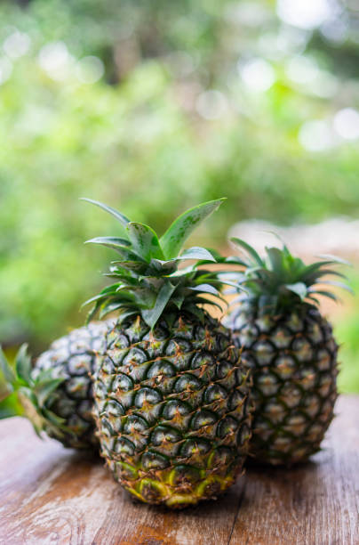 istock Whole pineapple on the wooden table with garden blackground. 1768520704
