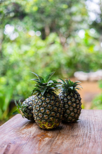 istock Whole pineapple on the wooden table with garden blackground. 1768520739