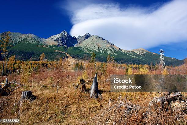 Góra Jesień Krajobraz - zdjęcia stockowe i więcej obrazów Bez ludzi - Bez ludzi, Droga jednopasmowa, Drzewo