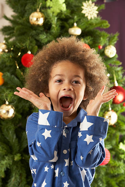 istock Excited Young Boy In Front Of Christmas Tree 176854183