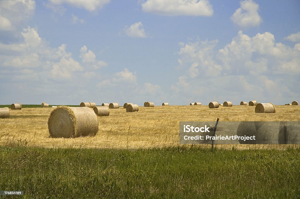 干し草の俵 - カンザス州のロイヤリティフリーストックフォト
