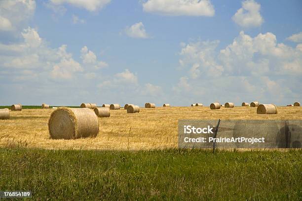 Foto de Fardos De Feno e mais fotos de stock de Kansas - Kansas, Fazenda, Dakota