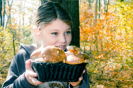 Young girl happy with her harvest of porcini mushrooms and boletus