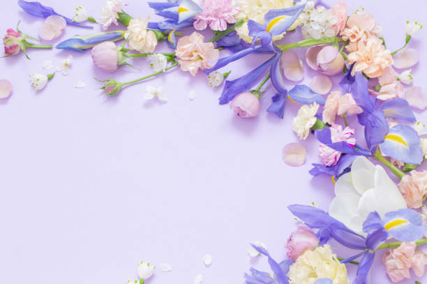 istock beautiful spring flowers on paper background 1768548956