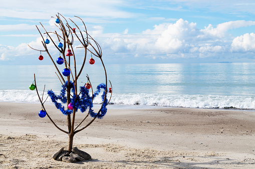 Christmas Tree on a tropical Beach in a sunny day.