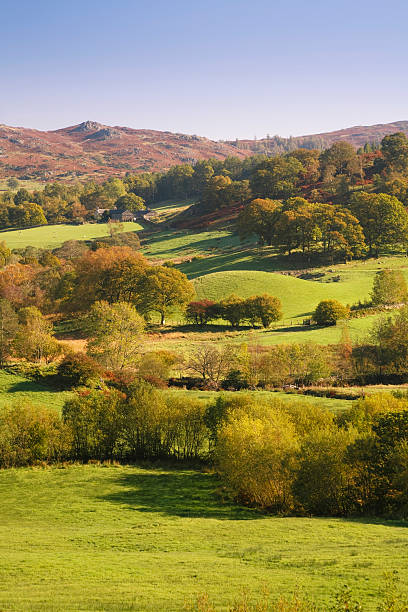 istock Countryside in Lake District, England 176855722