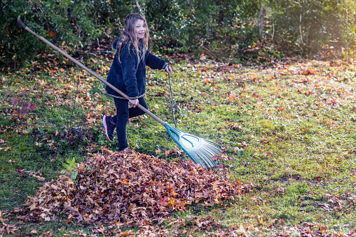 Teenager working while having fun raking leaves in the garden in autumn