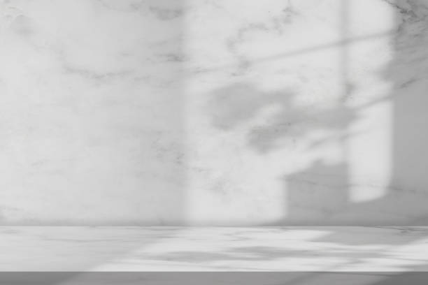 istock Background Studio White Marble Wall Surface with Shadow Flower and leaves silhouette,Light  from window,Empty Nature Granite Grey marble stone Floor and Wall Kitchen Room 1768558046