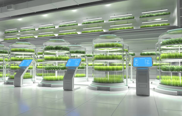 istock Experimenting with growing vegetables in the lab, Organic vegetable farm, Hydroponic vegetable plant factory 1768564374
