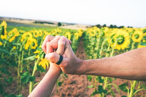 couple holding hands in a field of sunflowers