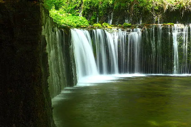 Photo of Fresh green and waterfall