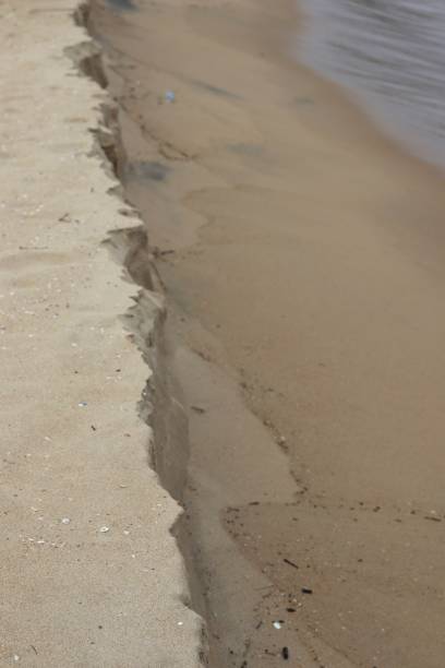 istock The warm sandy beach by the shore. 1768574492