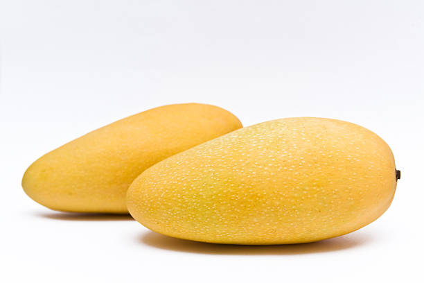 Mango fruit stock photo