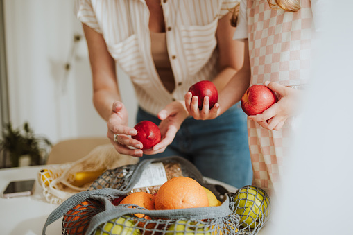 Close up photo of womanâs and girlâs hands holding nectarines and sorting fresh fruits on a kitchen table.