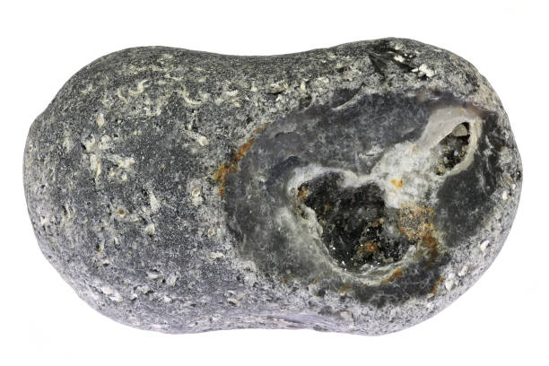 flint from the Baltic Sea coast in Waabs, Germany isolated on white background