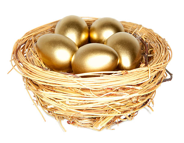 istock Golden egg in the nest  isolated 176858317