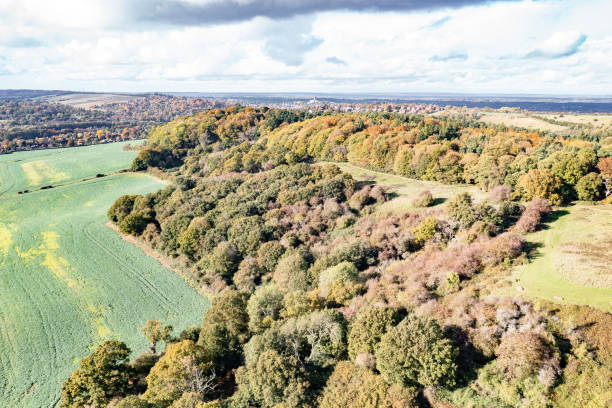 istock Chantries area near Guildford Surrey England 1768585803