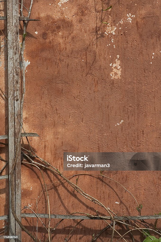 Fondo de pared grunge viejo y ramas - Foto de stock de Abandonado libre de derechos