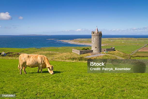 Castello Irlandese Doonagore Con Mucca - Fotografie stock e altre immagini di Castello di Doonagore - Castello di Doonagore, Doolin, Il Burren