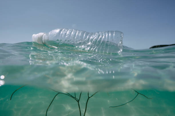 istock Discarded used Plastic Bottle floating on the sea surface. 1768588733