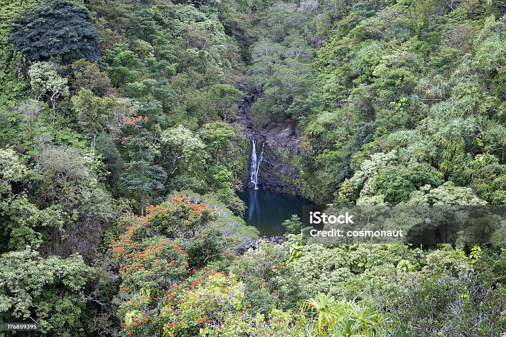 De Puohokamoa, Maui - Royalty-free Beleza natural Foto de stock