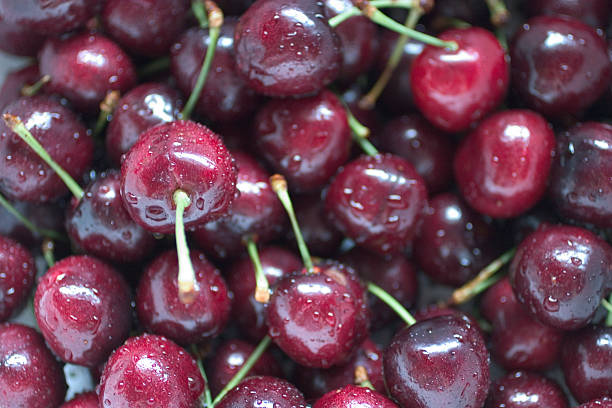 Bing Cherries stock photo