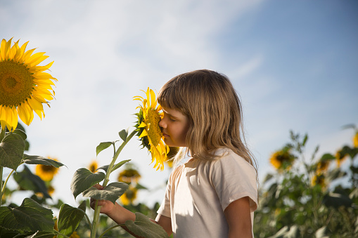 funny little child girl  with a sunflower in a field with sunflowers. Slow life. Enjoying the little things.