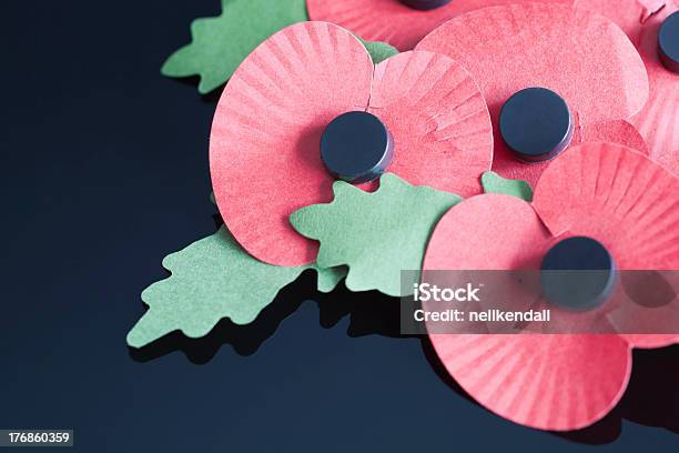 Remembrance Sunday 양귀비-식물에 대한 스톡 사진 및 기타 이미지 - 양귀비-식물, 브로치, 기념관