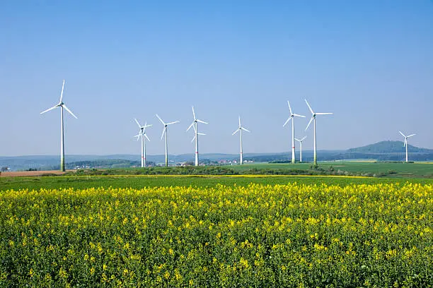 Windwheels and a rapeseed field in rural Germany