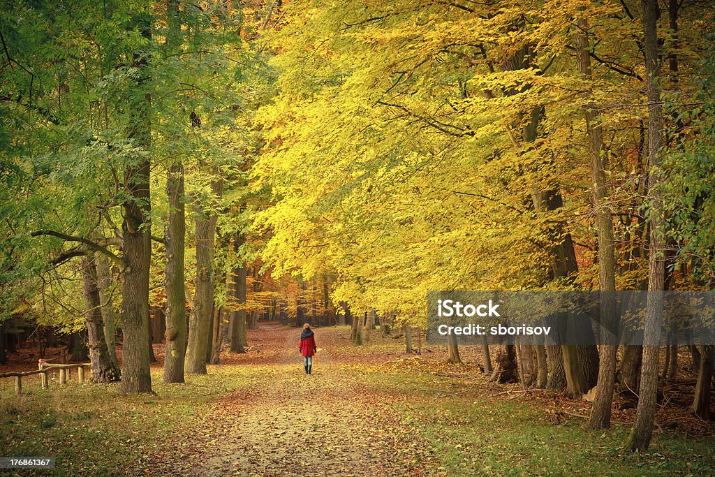 Walking in the autumn park Young woman walking in the autumn park Adult Stock Photo