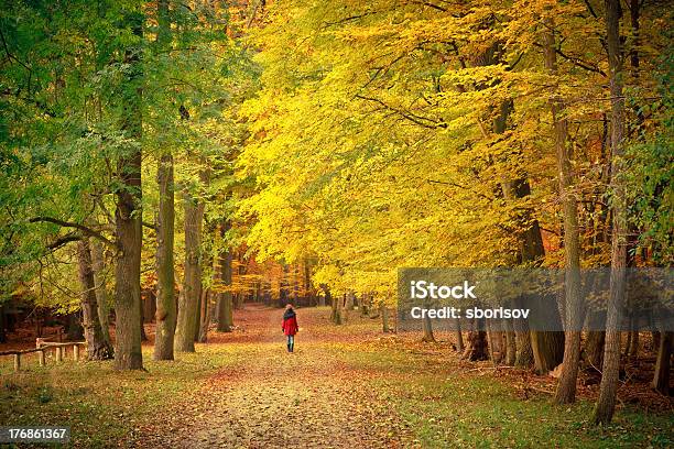 Walking In The Autumn Park Stock Photo - Download Image Now - Adult, Adults Only, Autumn