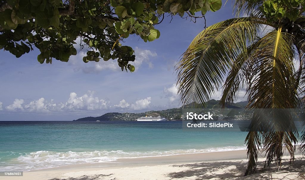 Cruising in paradise Beautiful caribbean beach with a cruiseship in the background Aquatic Organism Stock Photo