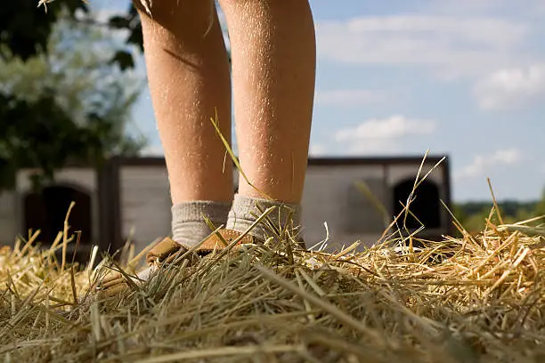 boy at the hay bale