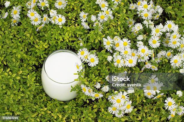 Biomilch Stockfoto und mehr Bilder von Alkoholfreies Getränk - Alkoholfreies Getränk, Blume, Blume aus gemäßigter Klimazone